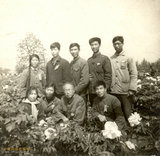 文章附图