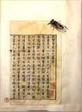 文章附图